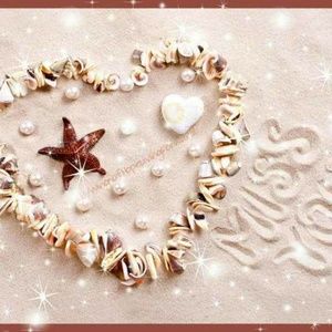 Meet your Posher, Teri